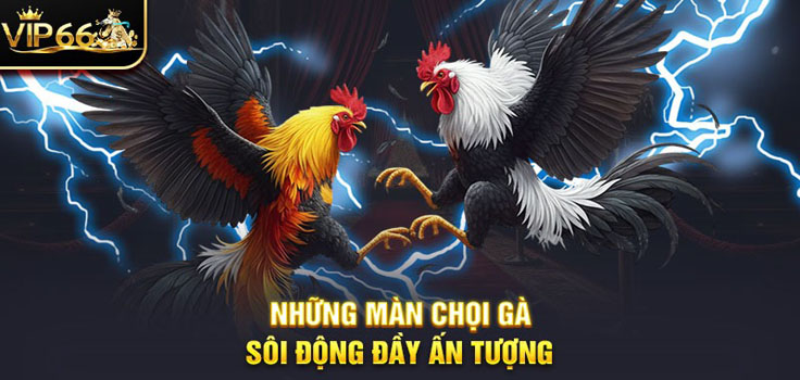 SÓI ĐỘNG ĐẦY ẤN TƯỢNG.jpg