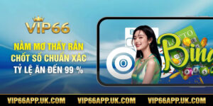 NẰM MƠ THẤY RẮNCHỐT SỐ CHUẨN XÁCTỶ LỆ ĂN ĐẾN 99 %