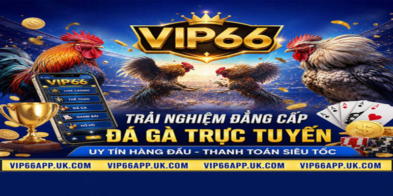 TRẢI NGHIỆM ĐẲNG CẤPĐÁ GÀ TRỰC TUYẾNUY TÍN HÀNG ĐẦU - THANH TOÁN SIÊU TỐC