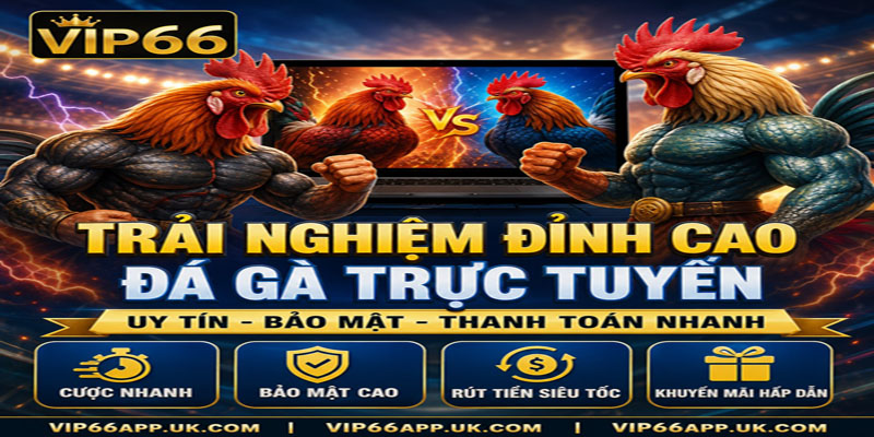 TRẢI NGHIỆM ĐỈNH CAOĐÁ GÀ TRỰC TUYẾNUY TÍN - BẢO MẬT - THANH TOÁN NHANH