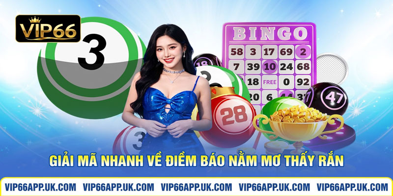 Giải mã nhanh về điềm báo nằm mơ thấy rắn